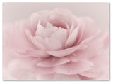 Cora Niele 'Stylisch Rose Pink' Canvas Art