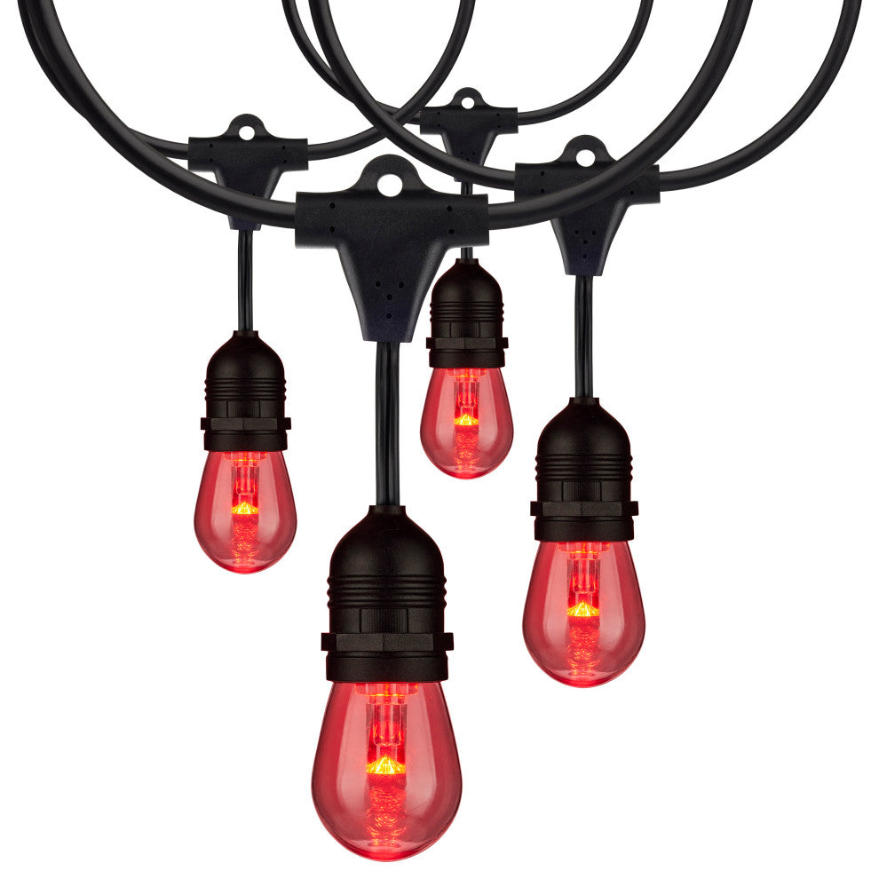 24Ft - 12-S14 Lamp - LED String Light - Starfish IOT - RGBW