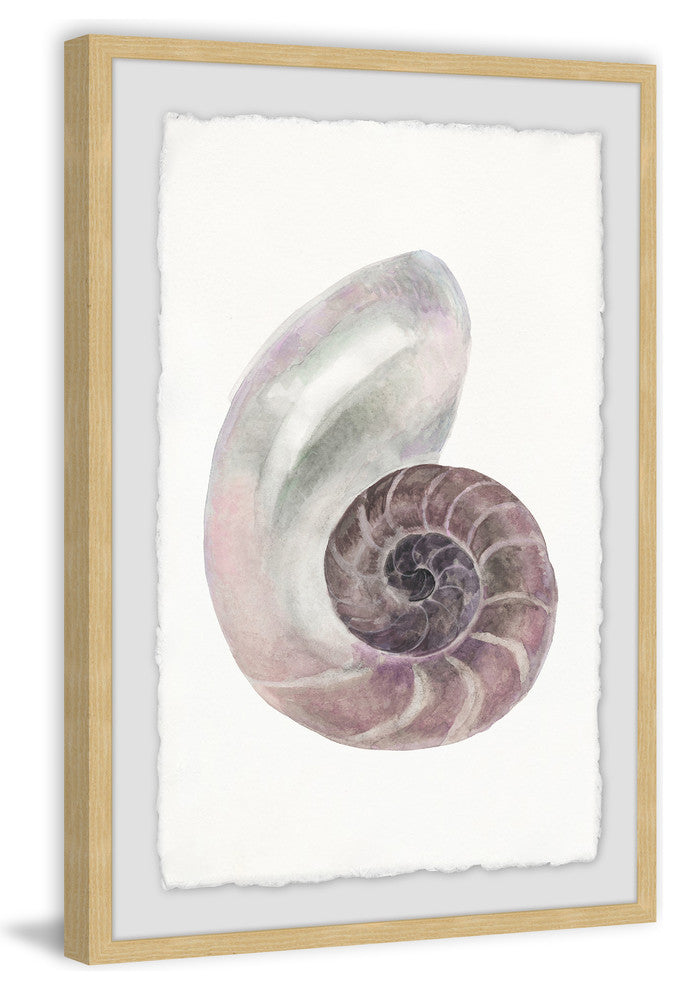 "Usual Shell" Framed Painting Print, 8"x12"