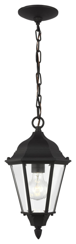 Bakersville 1-Light Outdoor Pendant, Black