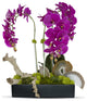 Orchids in Rectangle Ceramic Container