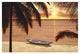 "Amber Palms" Digital Paper Print by Diane Romanello, 26"x18"