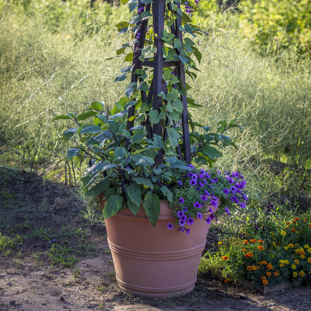 Brunello Planter, Weathered Terracotta, 12"