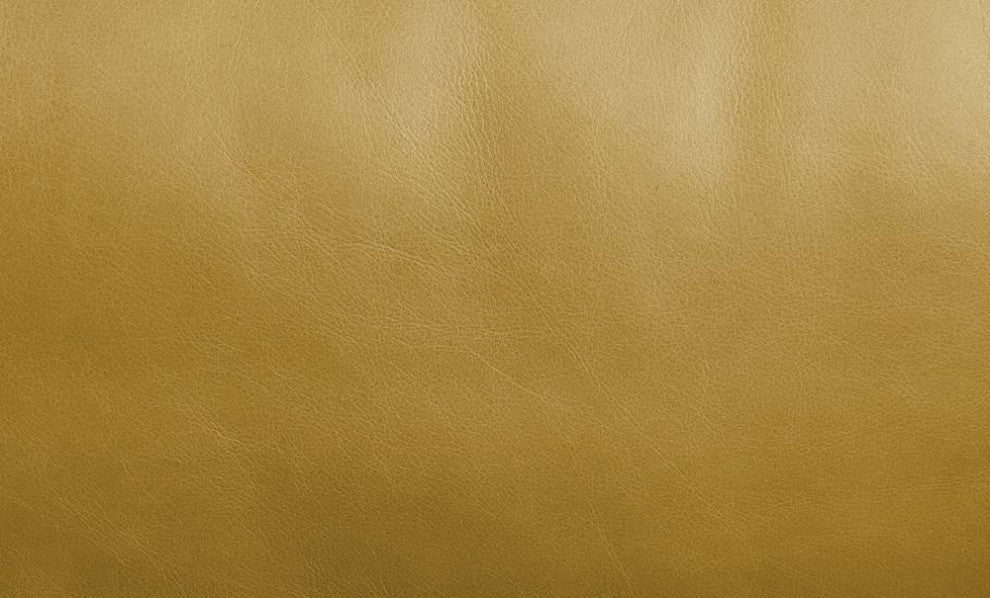 Acme Radia Sofa With Pillow Turmeric Top Grain Leather