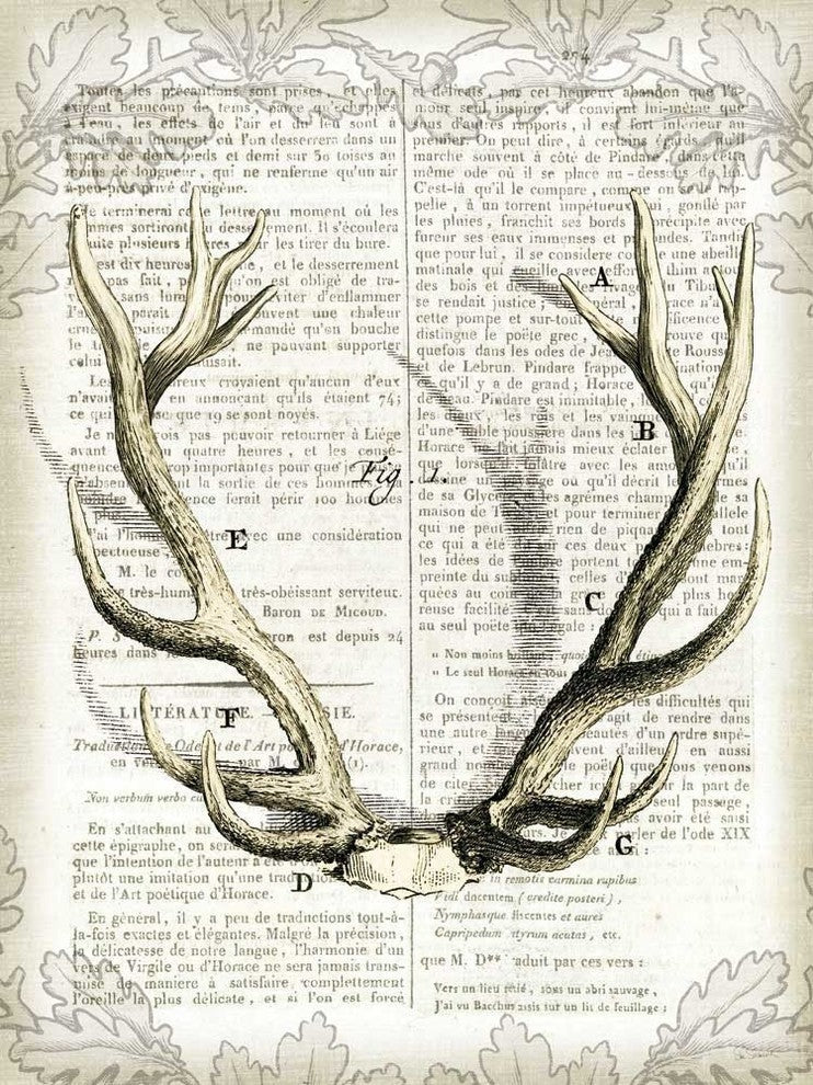 "Regal Antlers on Newsprint, I" Fine Art Canvas Print, 54"x72"