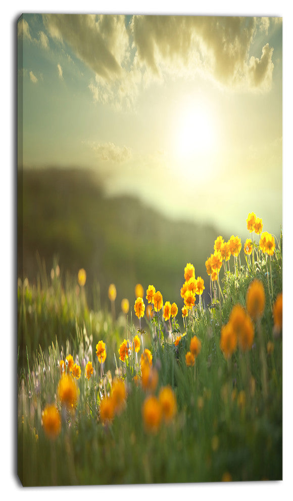 Yellow Flowers in Meadow At Morning, Floral Canvas Art Print, 16"x32"