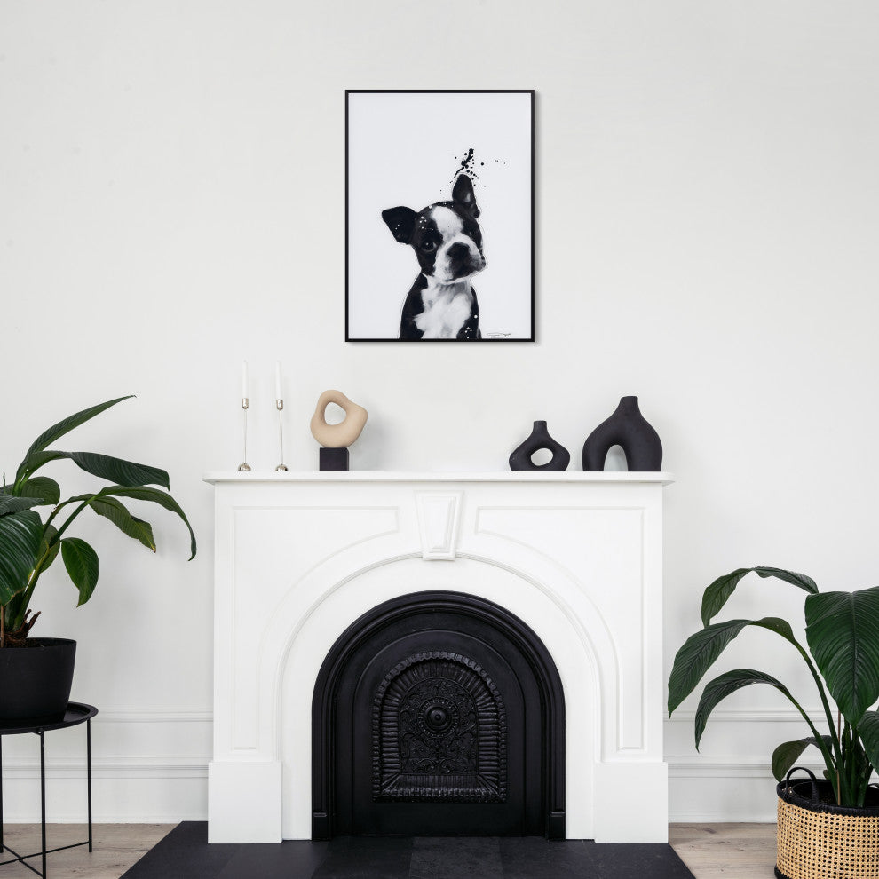 "Boston Terrier" Black and White Pet Art on Printed Glass with Anodized Frame