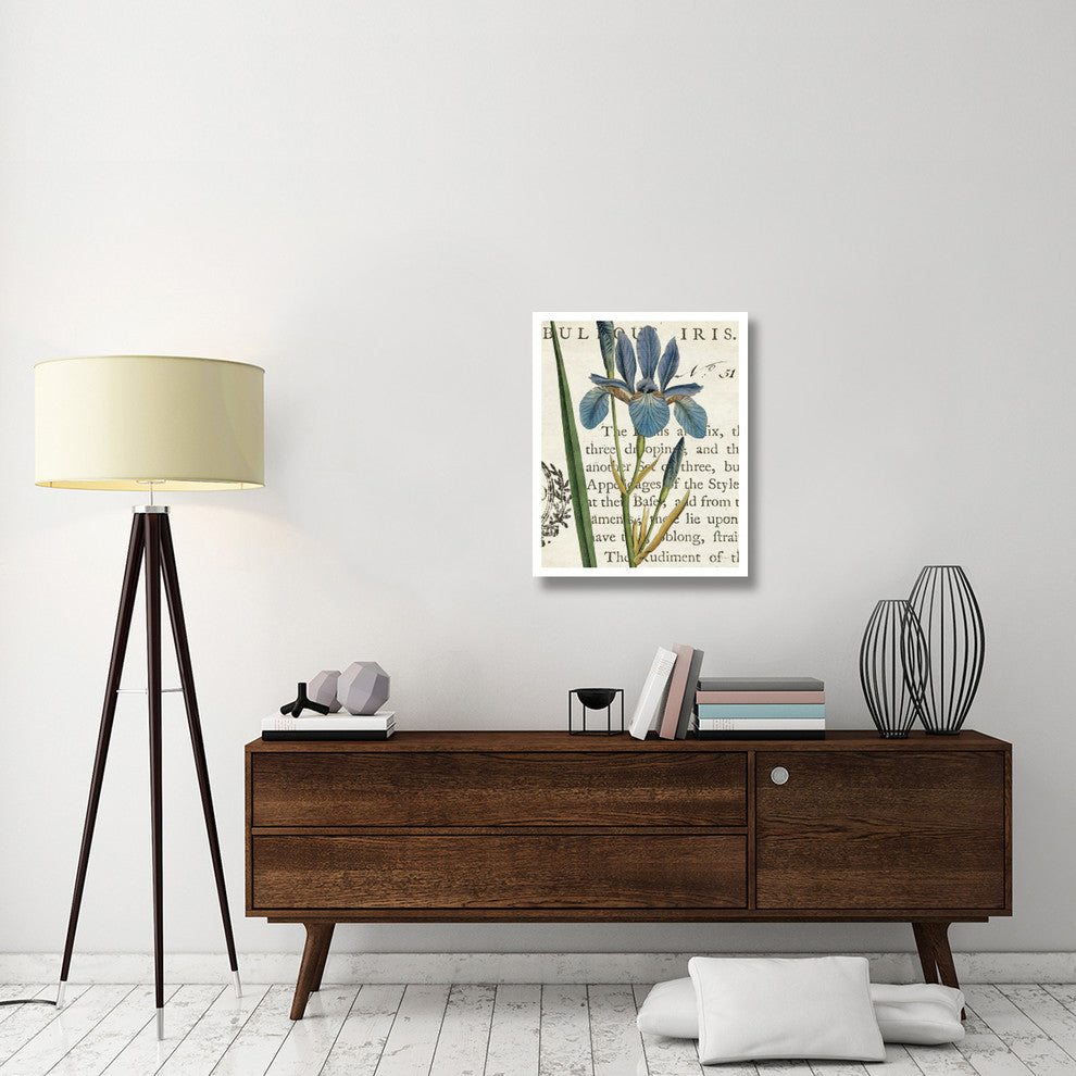 "Iris Letter" Digital Paper Print by Sue Schlabach, 24"x30"