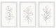 Get More Plants Triptych, 3-Piece Set, 24x36 Panels