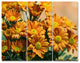 Bright Yellow Flowers in Garden, Floral Triptych Canvas Print, 36x28, 3 Panels