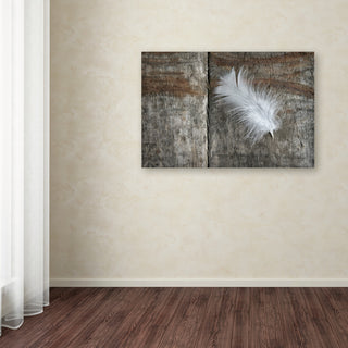 Cora Niele 'Feather on Wood II' Canvas Art