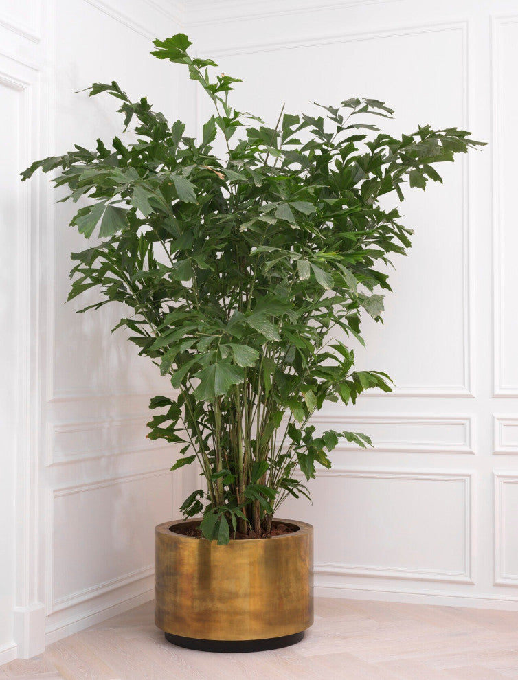 Vintage Brass Round Planter | Eichholtz Jasper, Large