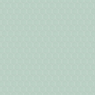 Metro Hex Matte Porcelain Mosaic Floor and Wall Tile, Green