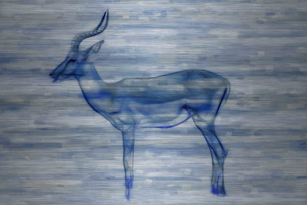 "Gazelle" UV Ink Print on Brushed  Aluminum, 45"x30"