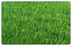 Flagship Carpets FA1536-44FS Grass Rug
