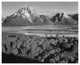 "View toward Mount Moran, Grand Teton National Park, 1941" Paper Art, 24"x20"