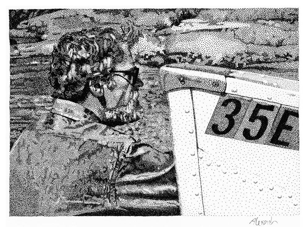 "Skipper" Museum Mounted Canvas Print, 28"x22"
