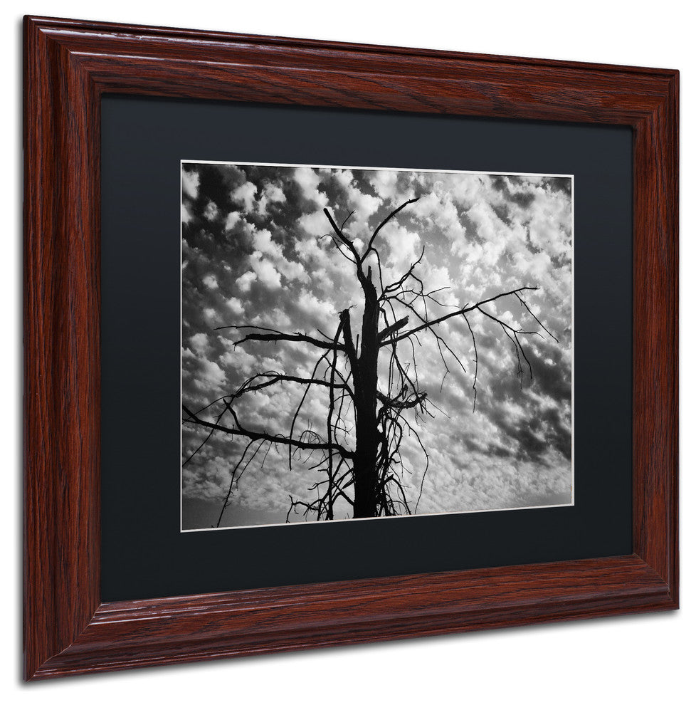 Jason Shaffer ''Sandy Ridge 2'' Matted Framed Art, Wood Frame, Black Mat, 14x11