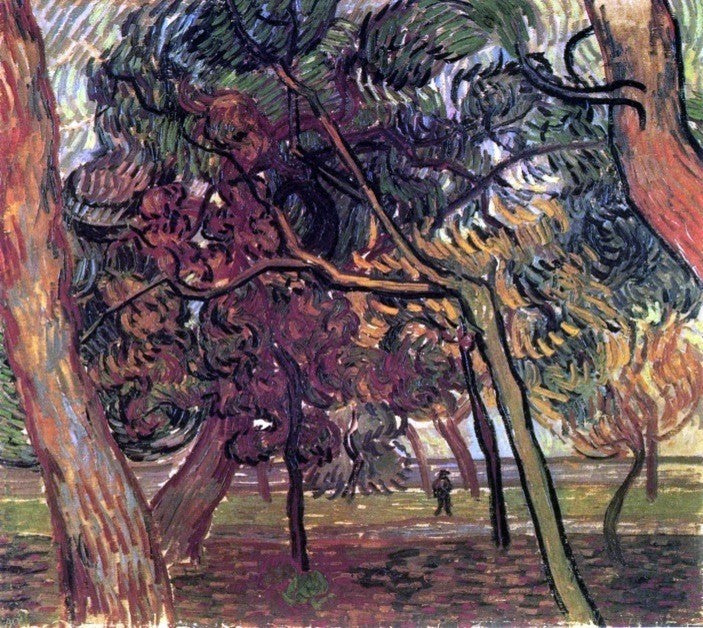 Vincent Van Gogh Study of Pine Trees, 20"x25" Wall Decal Print