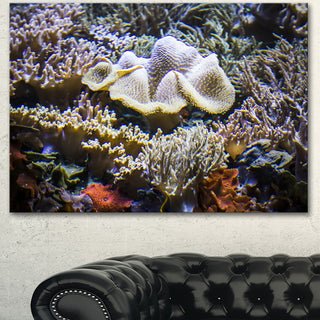 Beautiful Seabed With Fish, Large Landscape Canvas Art, 60"x28"