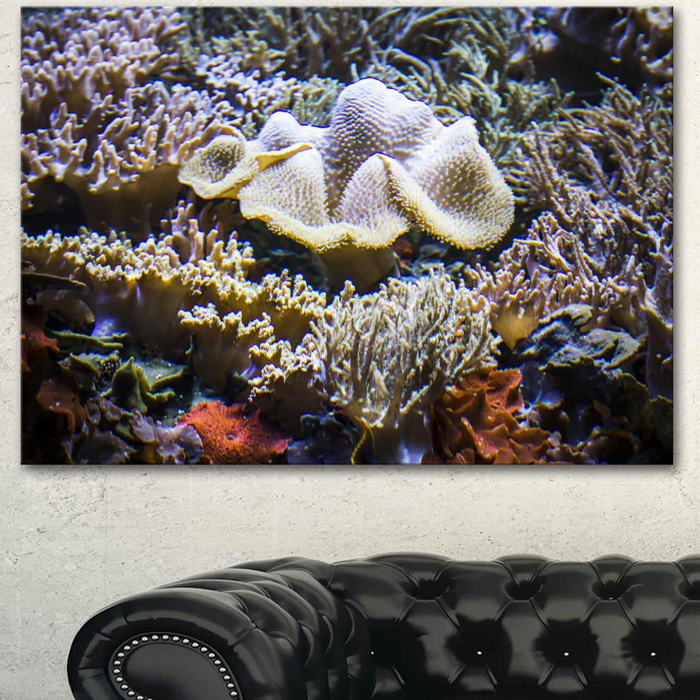 Beautiful Seabed With Fish, Large Landscape Canvas Art, 60"x28"