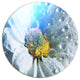 White Flower With Raindrops, Modern Flower Round Wall Art, 23"