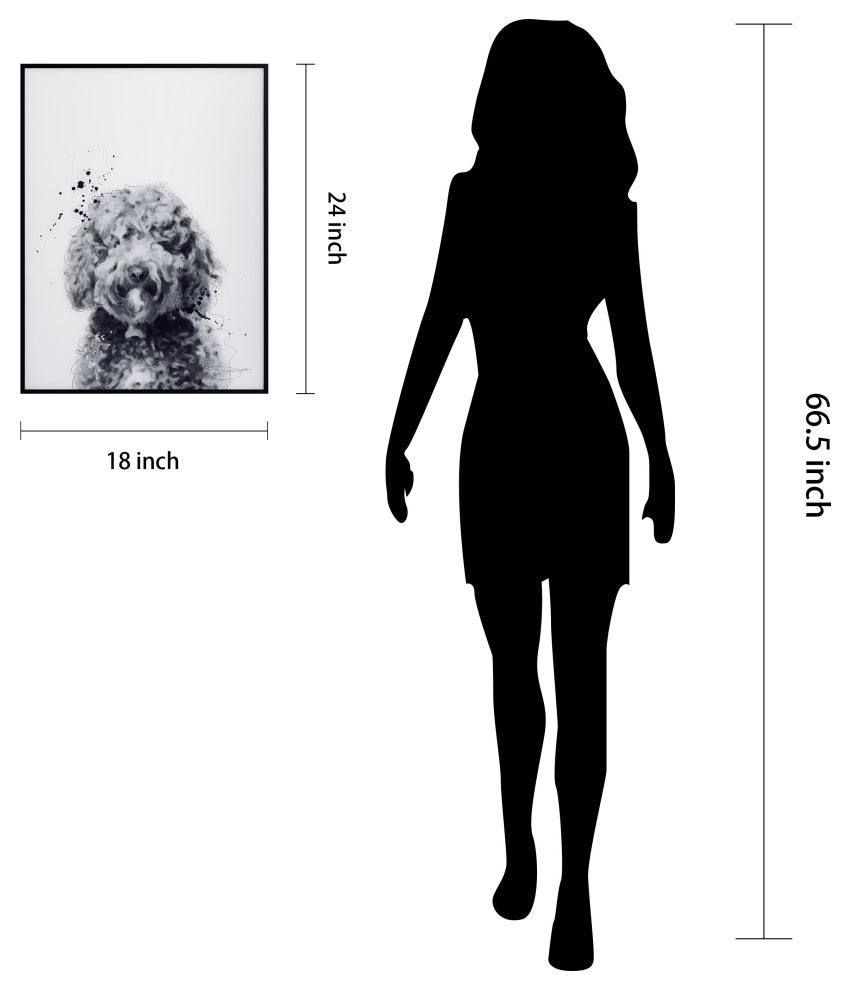 "Labradoodle" Black and White Pet Art on Printed Glass with Anodized Frame