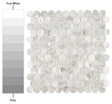 Conchella Penny Mosaic Wall Tile, White, Sample