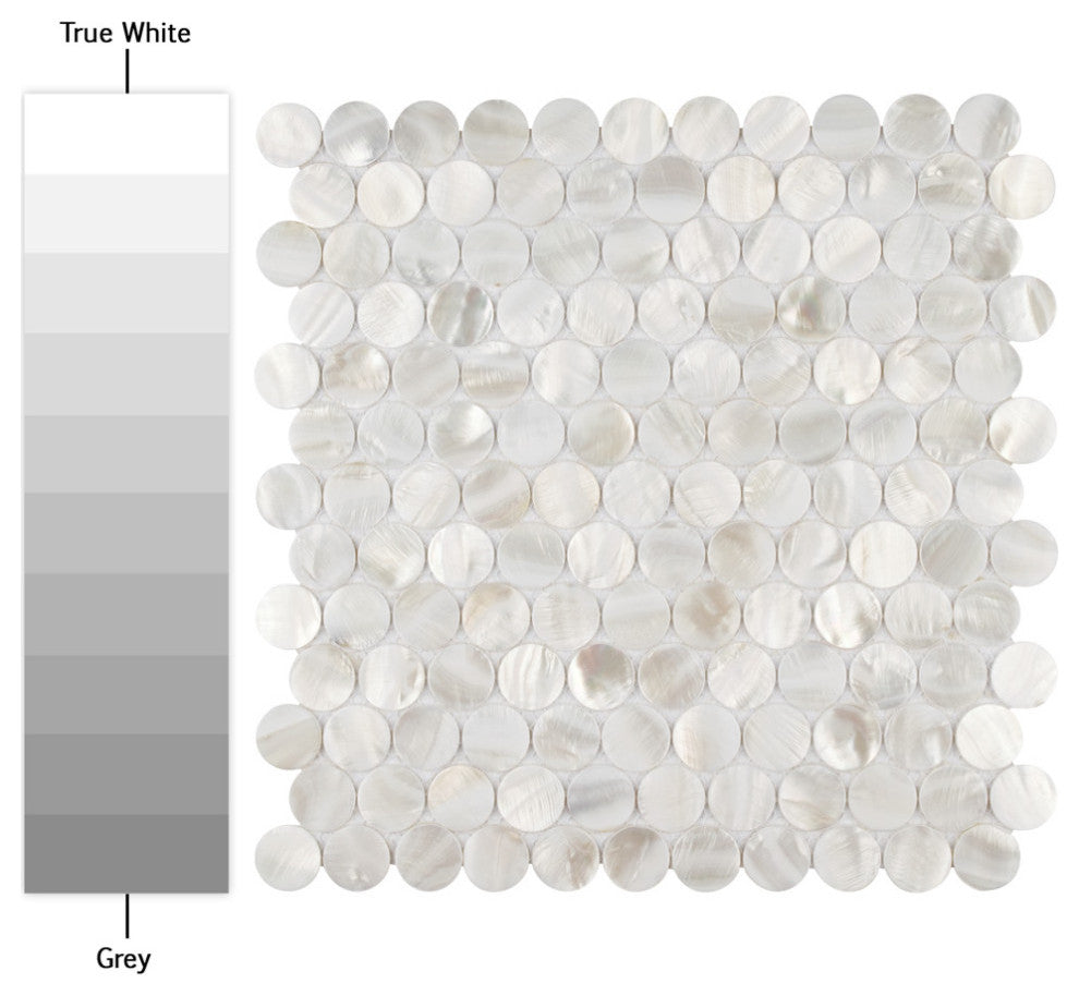 Conchella Penny Mosaic Wall Tile, White, Sample