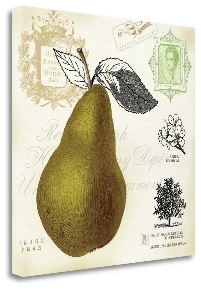 "Pear Notes" By Studio Mousseau, Giclee Print on Gallery Wrap Canvas