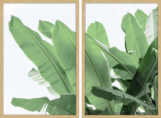 Palm Bay Diptych, 48x36