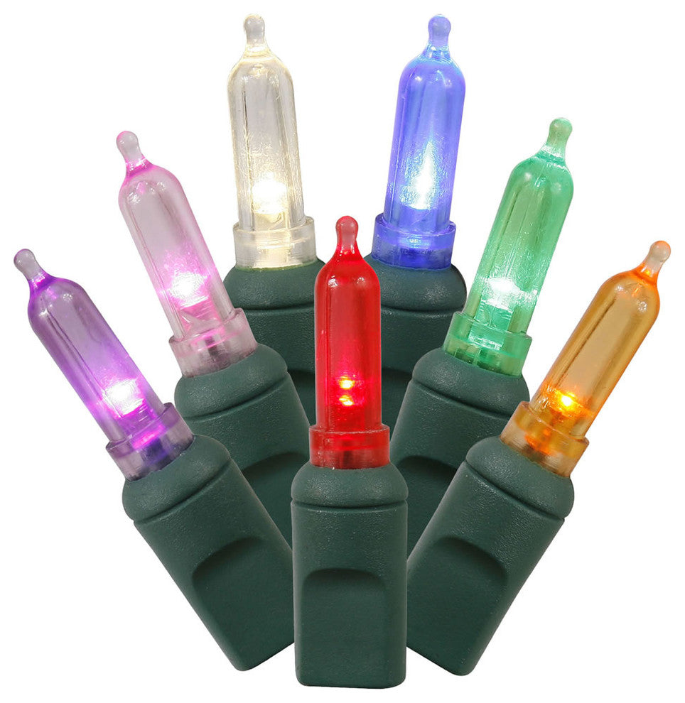 Vickerman X6G7500 50 Multi-Colored Italian Led, 25' Christmas Mold Light Strand
