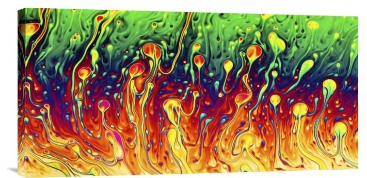 "Soap Opera" Stretched Canvas Giclee by Christophe Kiciak, 24x12"