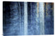 "The Forest" Stretched Canvas Giclee by Kostas Barbadimos, 30"x20"
