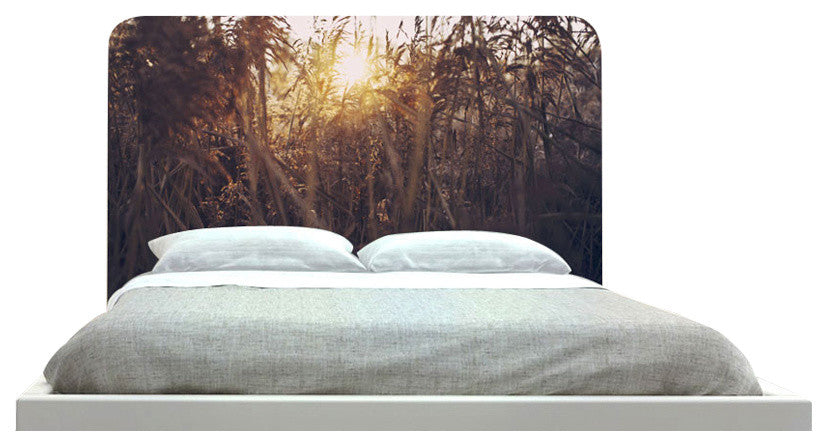 "Sun Fields" Headboard