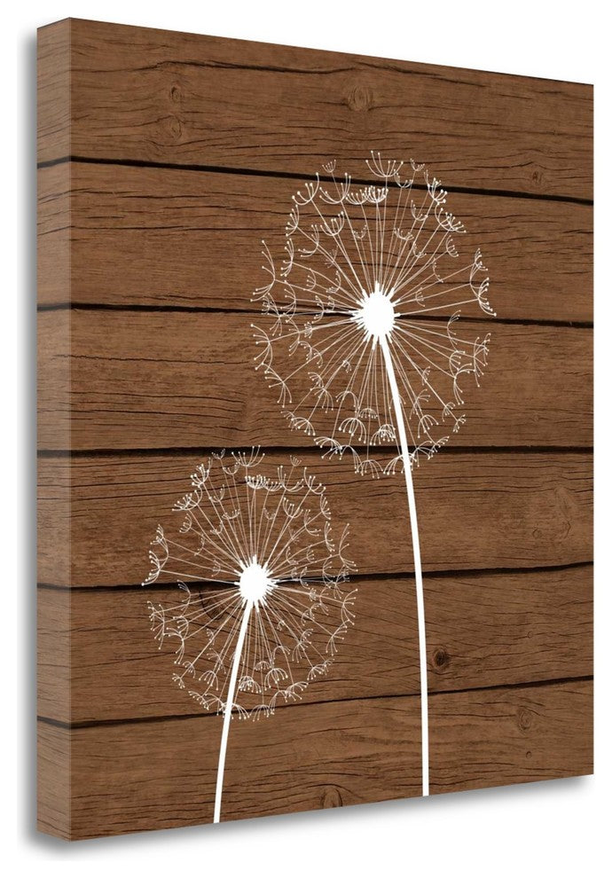 "Brown Dandelion III" By Tamara Robinson, Giclee Print on Gallery Wrap Canvas