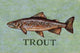 Marmont Hill, "Trout" by Reesa Qualia Painting Print on Wrapped Canvas, 30x20