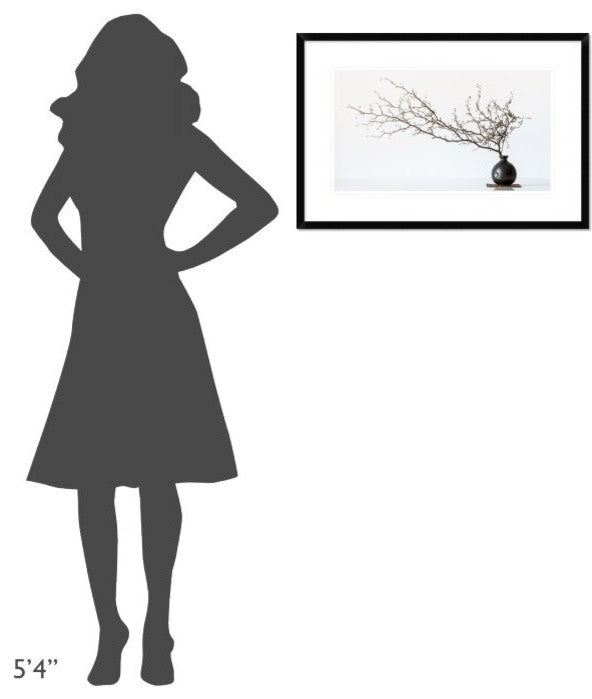 "Vase And Branch" Framed Digital Print by Prbimages, 30"x20"