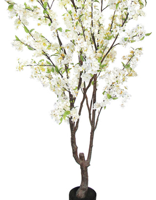 Full product on white background (alternate white full view).