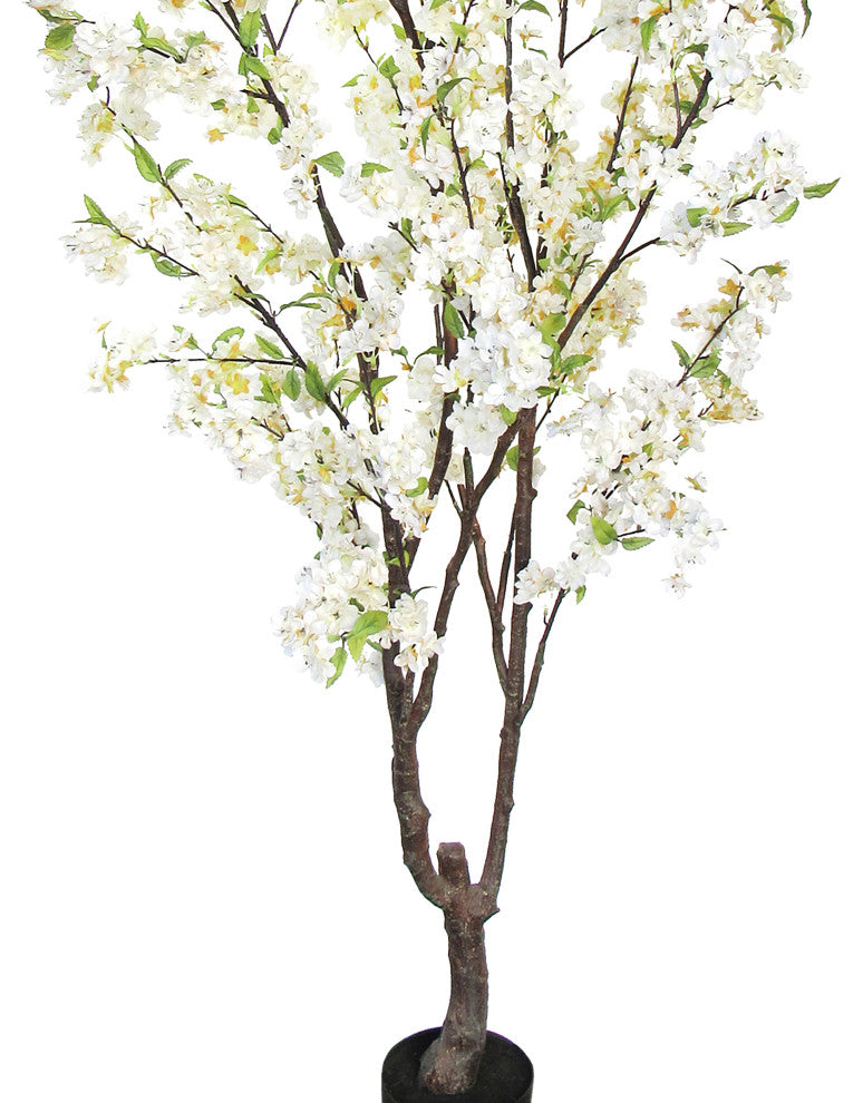 Full product on white background (alternate white full view).