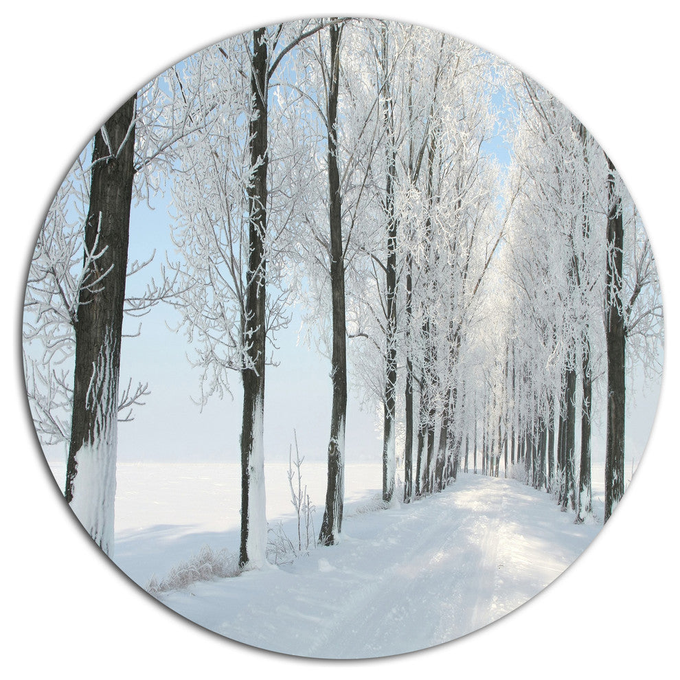 Beautiful Winter Forest Lane Photo, Forest Round Wall Art, 23"