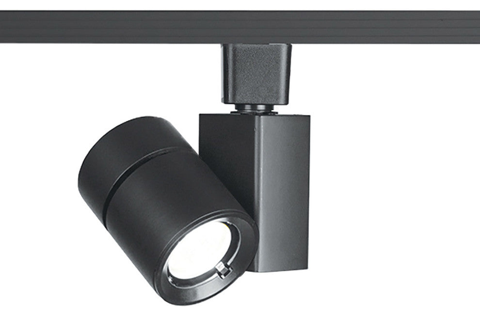 LED1023 Exterminator II LED 22W Track Head 4000K Narrow, Black for J Track