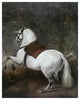 "A White Horse" Digital Paper Print by Diego Velazquez, 15"x18"