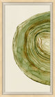 Tree Ring Diptych A, Giclee Reproduction Artwork