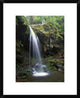 Grotto Falls and Roaring Fork Motor Nature Trail, Great Smoky Mountains, 18"x22"