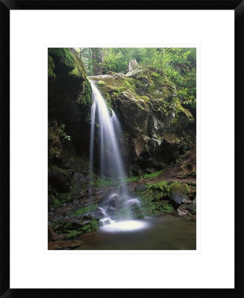 Grotto Falls and Roaring Fork Motor Nature Trail, Great Smoky Mountains, 18"x22"