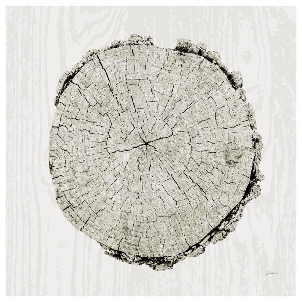 "Woodland Years II" Digital Paper Print by Sue Schlabach, 26"x26"