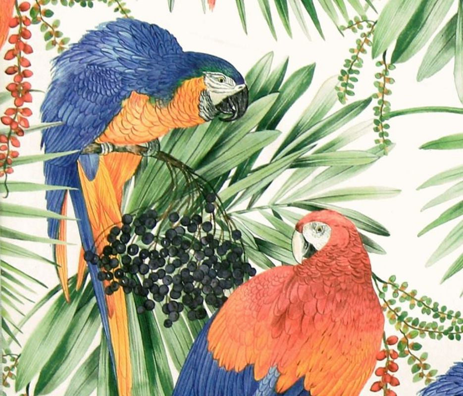 Tropical parrot jungle fabric macaw home decorating material , Standard Cut