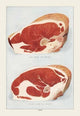 Beef: Bone Top Sirloin - Gallery Wrapped Canvas Art 28" x 42"