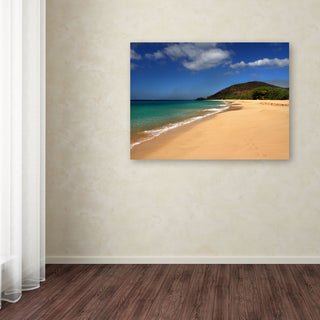 'Makena Hawaii' Canvas Art by Pierre Leclerc